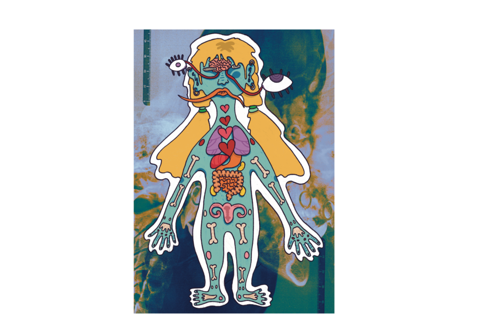 Accurate Anatomy